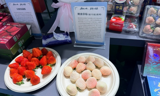 30余家江苏企业参展,青洽会江苏馆里全是“显眼包”!