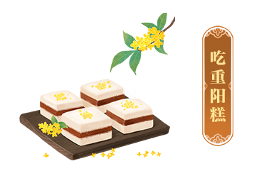read_image (2).png