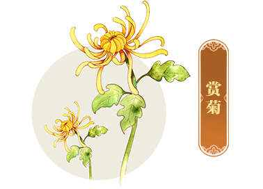 read_image (4).png