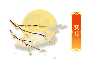 read_image (2).png